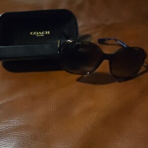 Coach Dark Brown Sunglasses